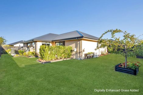 Photo of property in 5 Burke Lane, Amberley, 7410