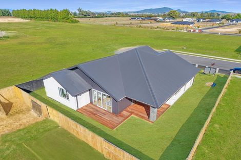 Photo of property in 64 Hampton Terrace, Matamata, 3400