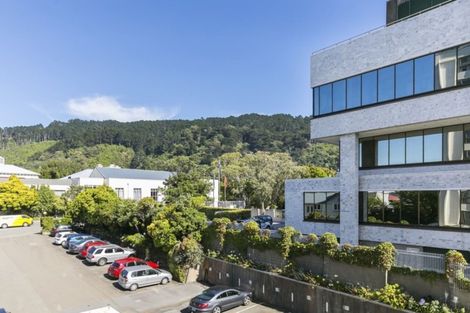 Photo of property in Hobson Court Flats, 22/70u Hobson Street, Thorndon, Wellington, 6011