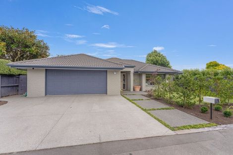Photo of property in 38 Edward Street, Prebbleton, 7604