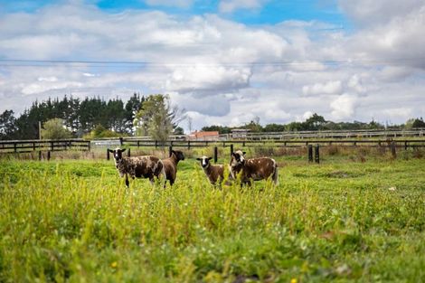 Photo of property in 15 Trotting Course Drive, Kumeu, 0891