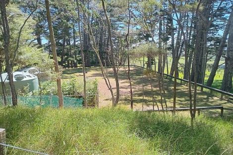 Photo of property in 245 Anderson Road, Helensville, 0875
