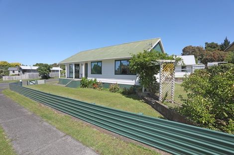 Photo of property in 138 Lethbridge Street, Feilding, 4702