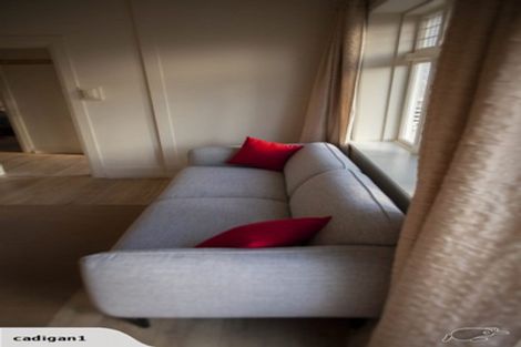 Photo of property in 77 Nairn Street, Mount Cook, Wellington, 6011