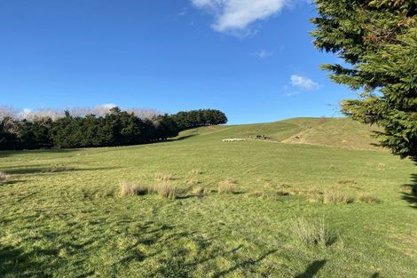 Photo of property in 130 Bowen Road, Eketahuna, 4994