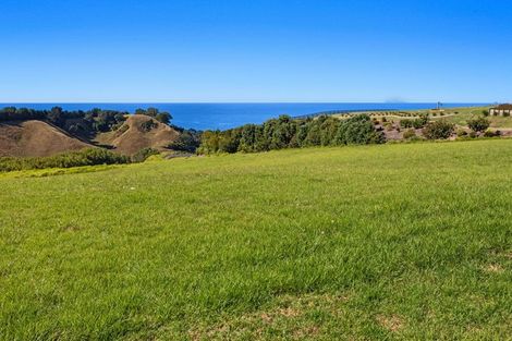 Photo of property in 86a Mimiha Ridge Road, Matata, 3194