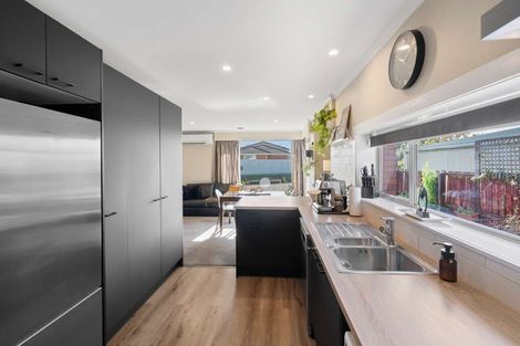 Photo of property in 259 Lyttelton Street, Spreydon, Christchurch, 8024