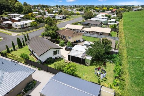 Photo of property in 253 Sinclair Terrace, Te Awamutu, 3800