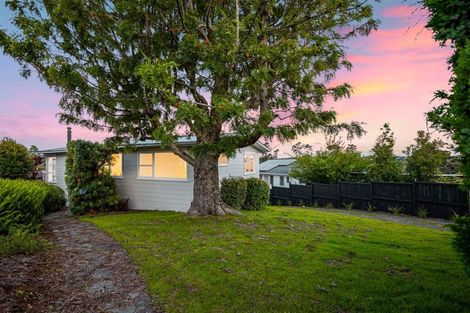 Photo of property in 30 Fitzwater Place, Henderson, Auckland, 0612