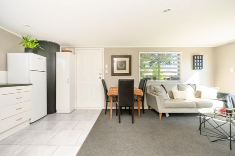 Photo of property in 101a Limbrick Street, Terrace End, Palmerston North, 4410