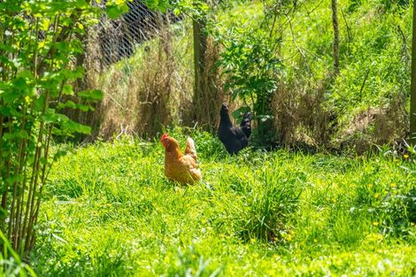 Photo of property in 266 Murphys Road, Judgeford, Porirua, 5381