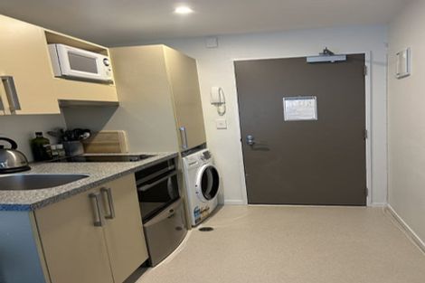 Photo of property in Dual Apartments, 108/142u Vivian Street, Te Aro, Wellington, 6011