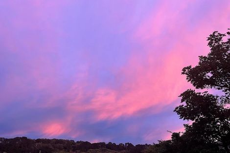 Photo of property in 48f1 Hamilton Road, Hataitai, Wellington, 6021