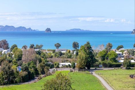 Photo of property in 925a Purangi Road, Cooks Beach, Whitianga, 3591