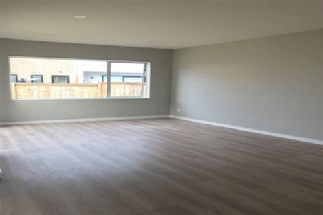 Photo of property in 12 Roa Avenue, Hobsonville, Auckland, 0616