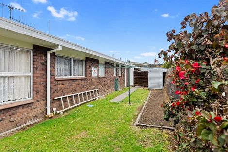 Photo of property in 1a Hairini Street, Hairini, Tauranga, 3112
