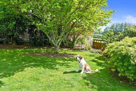 Photo of property in 11 Mannix Place, Matamata, 3400
