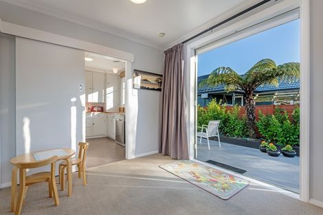 Photo of property in 103a Pahiatua Street, Hokowhitu, Palmerston North, 4410