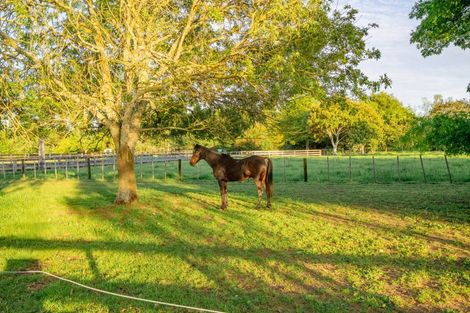 Photo of property in 446 Mystery Creek Road, Ohaupo, 3881
