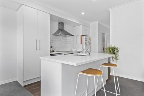 Photo of property in 25u9 Thackeray Street, Hamilton Lake, Hamilton, 3204