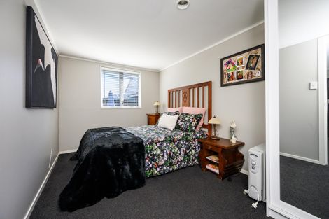 Photo of property in 101a Limbrick Street, Terrace End, Palmerston North, 4410