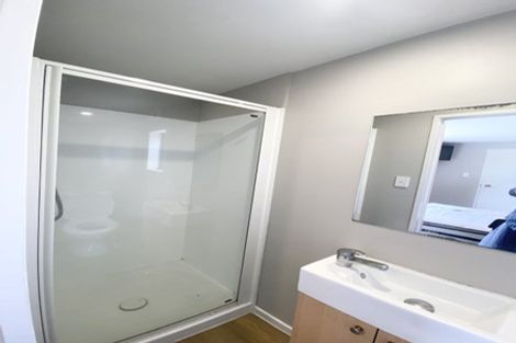 Photo of property in 65b Barbour Street, Waltham, Christchurch, 8011