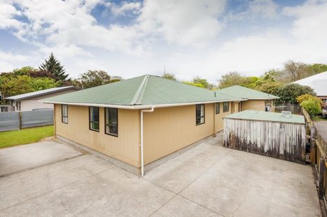 Photo of property in 494 Ferguson Street, Palmerston North, 4410