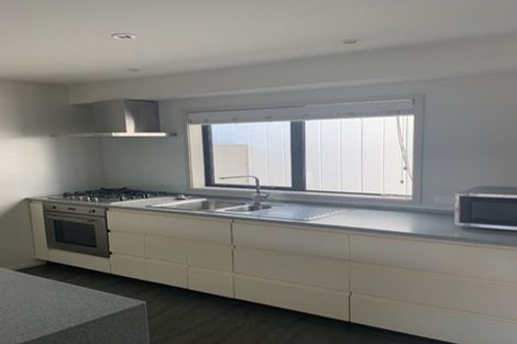 Photo of property in 195u1 Massey Street, Frankton, Hamilton, 3204