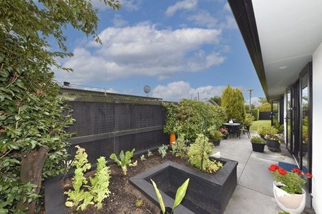 Photo of property in 91 Forfar Street, St Albans, Christchurch, 8014