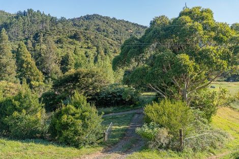 Photo of property in 1878 The 309 Road, Kaimarama, Whitianga, 3591