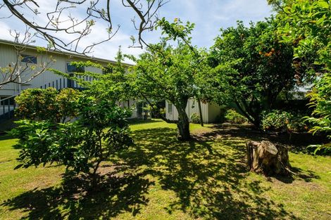 Photo of property in 14 Dominion Road, Te Hapara, Gisborne, 4010