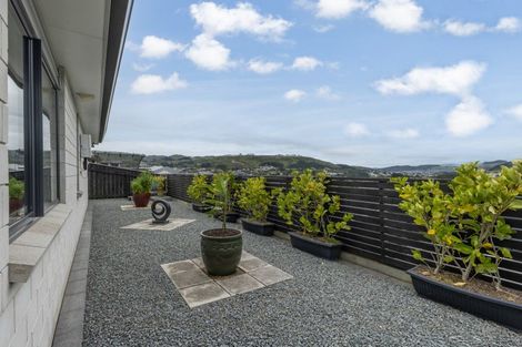 Photo of property in 118 John Burke Drive, Aotea, Porirua, 5024