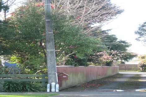 Photo of property in 31a Macarthur Street, Levin, 5510