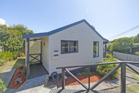 Photo of property in 9 Duncan Avenue, Te Atatu South, Auckland, 0610