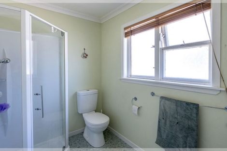 Photo of property in 21 Maire Street, Levin, 5510