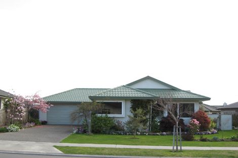 Photo of property in 21 Palmbrook Avenue, Havelock North, 4130