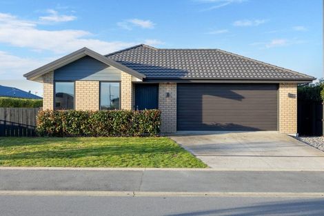Photo of property in 20 Chert Street, Rolleston, 7614