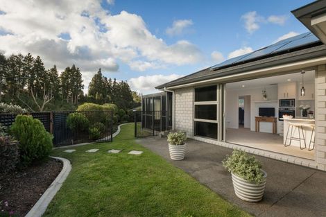 Photo of property in 15 Layla Place, Katikati, 3178