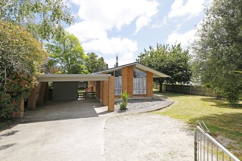 Photo of property in 137 Fairview Street, Chartwell, Hamilton, 3210