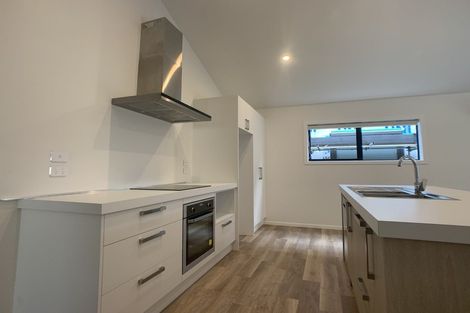 Photo of property in 58 Muster Road, Jacks Point, 9371