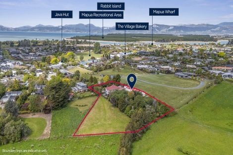 Photo of property in 91 Aranui Road, Mapua, 7005