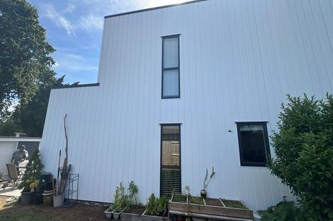 Photo of property in 1/195 Massey Street, Frankton, Hamilton, 3204