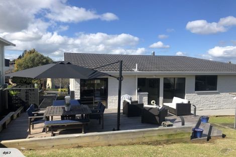 Photo of property in 17 Maple Avenue, Dinsdale, Hamilton, 3204