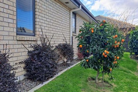 Photo of property in 20/46 Sharp Road, Aongatete, Katikati, 3178