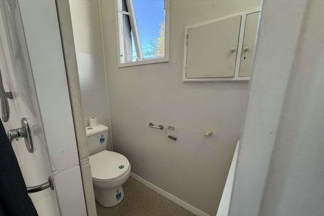 Photo of property in 61 Rolleston Street, Mount Cook, Wellington, 6021