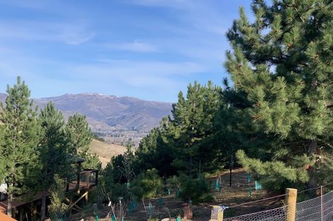 Photo of property in 259 Heaney Road, Cromwell, 9384