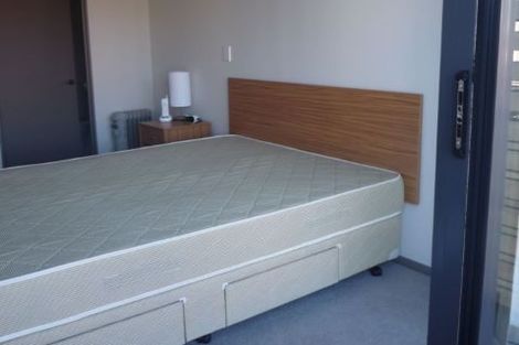 Photo of property in Dual Apartments, 108/142u Vivian Street, Te Aro, Wellington, 6011