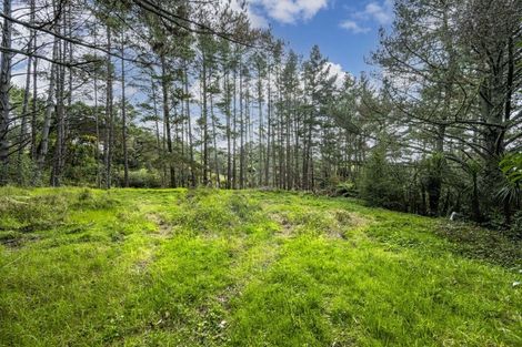 Photo of property in 53 Red Hills Road, Massey, Auckland, 0614