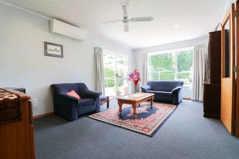 Photo of property in 45a Mckenzie Street, Geraldine, 7930