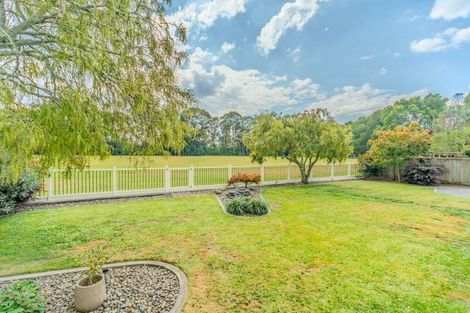 Photo of property in 20 Cromwell Drive, Fitzroy, Hamilton, 3206